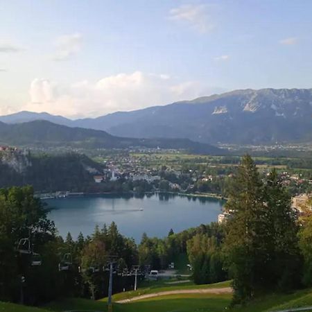 Apartment Bee Near Bled Zabreznica Екстер'єр фото