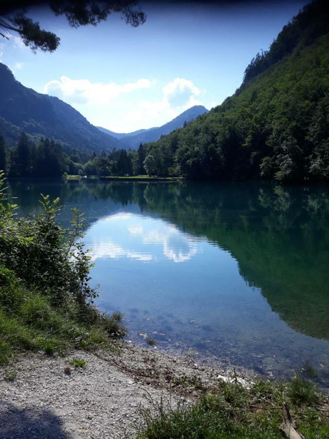Apartment Bee Near Bled Zabreznica Екстер'єр фото